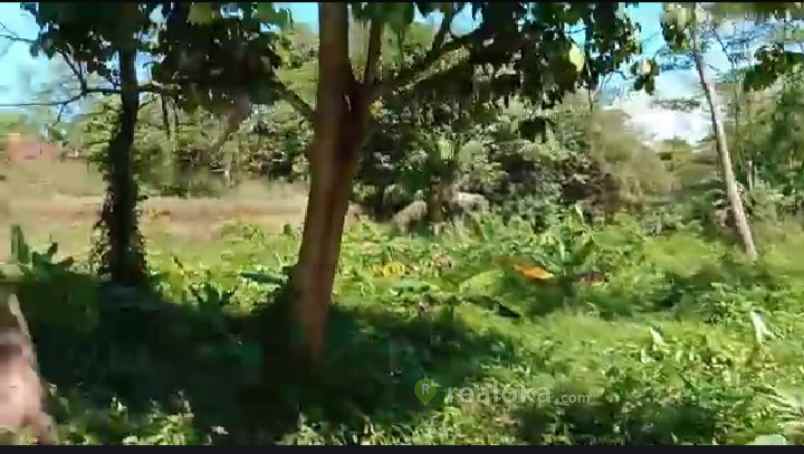 tanah duren mekar sawangan depok