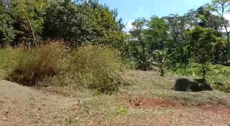 tanah duren mekar sawangan depok