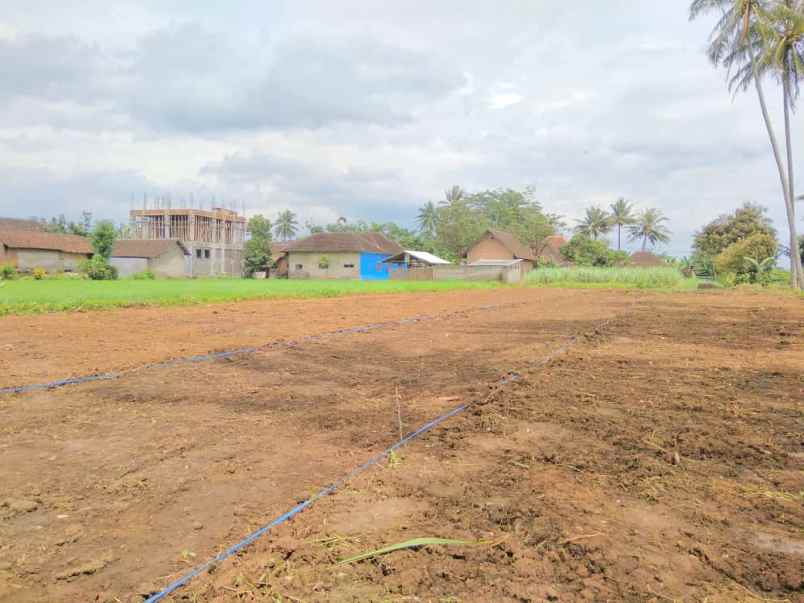 tanah gondanglegi malang