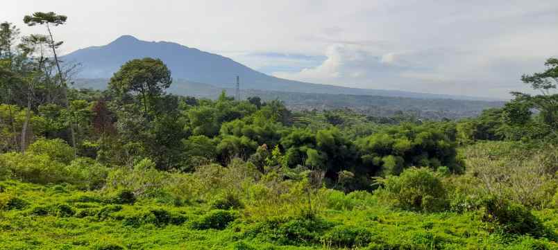 tanah gunung geulis sukaraja