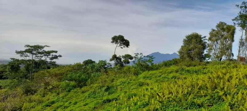 tanah gunung geulis sukaraja