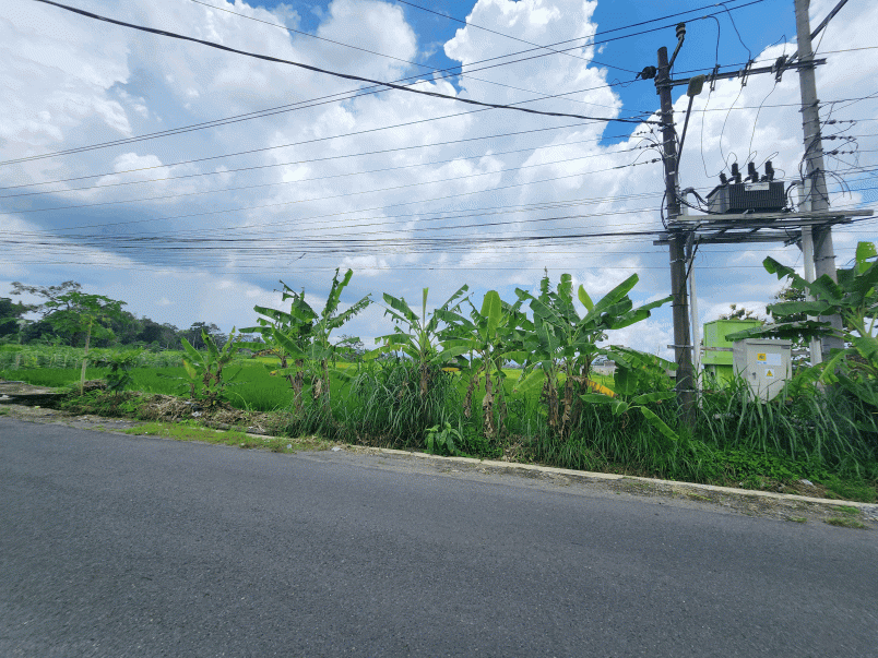 tanah jogja tepi jalan raya sambiroto shm pekarangan