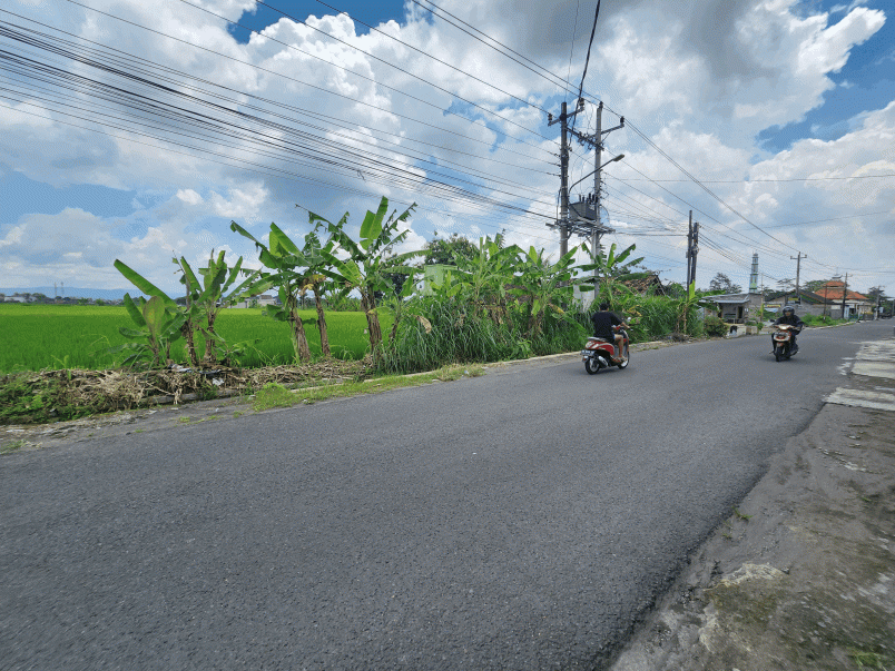 tanah jogja tepi jalan raya sambiroto shm pekarangan