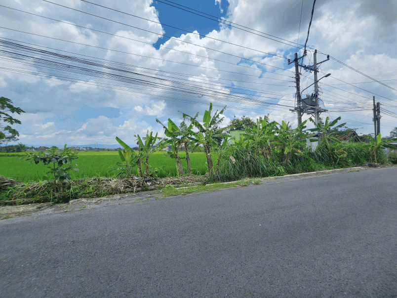tanah jogja tepi jalan raya sambiroto shm pekarangan