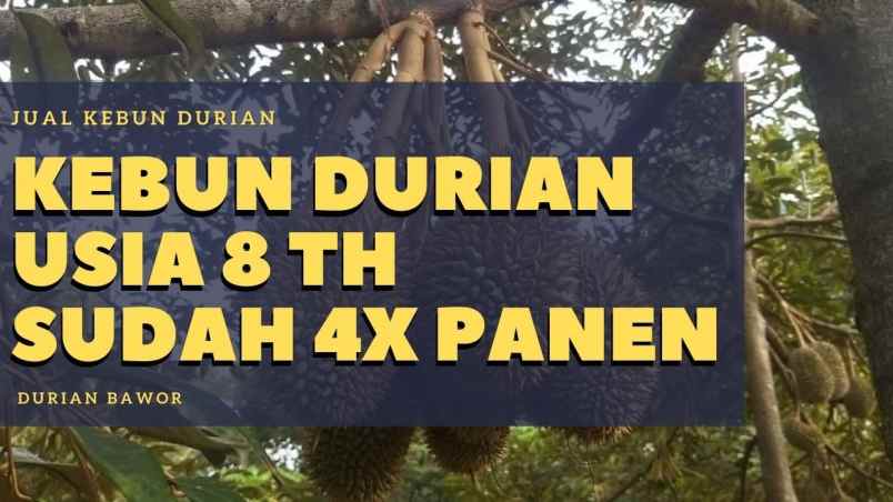tanah karanganyar