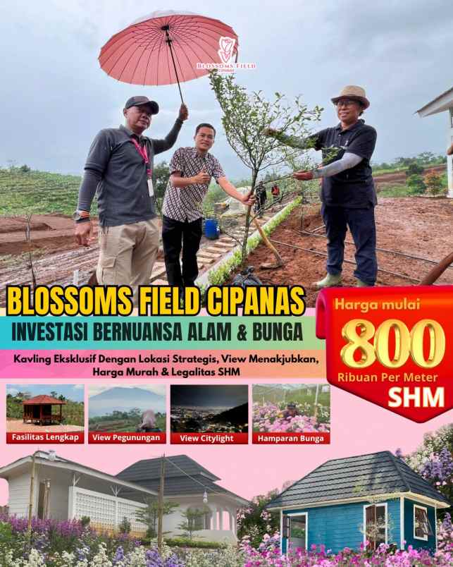 tanah kavling investasi di sukaresmi cianjur