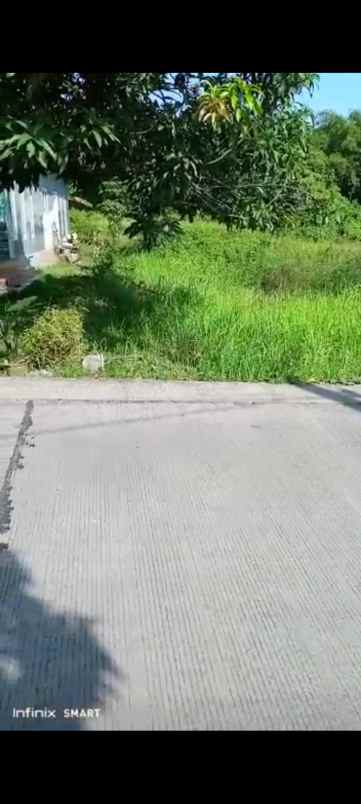 tanah kebun strategis pinggir jln provinsi