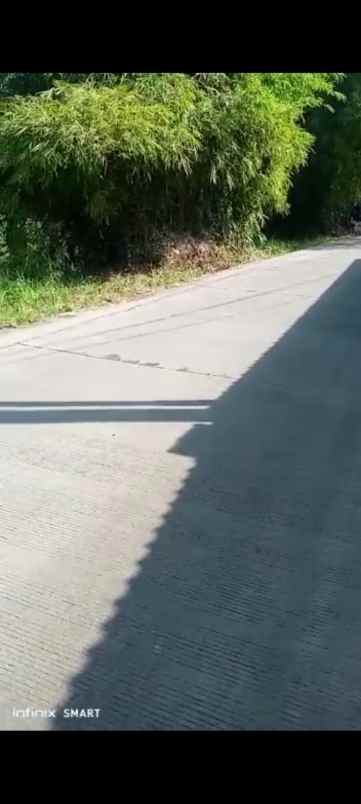 tanah kebun strategis pinggir jln provinsi