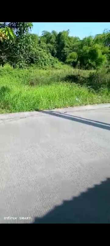 tanah kebun strategis pinggir jln provinsi