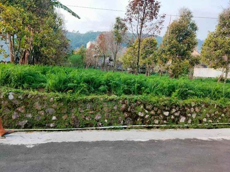 tanah kemuning ngargoyoso