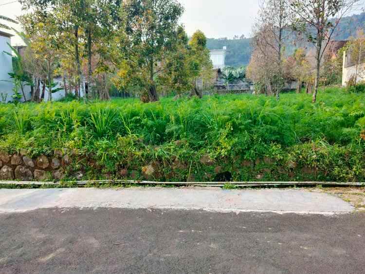 tanah kemuning ngargoyoso