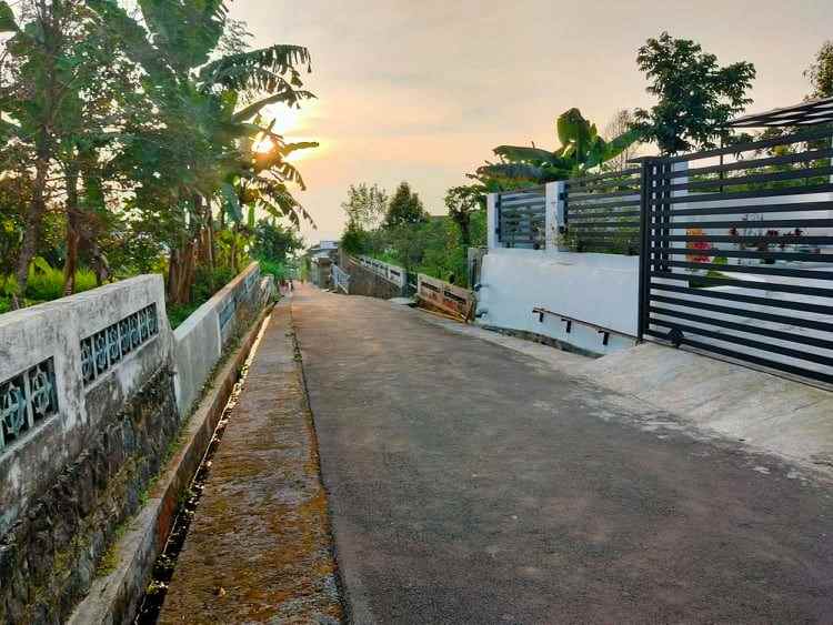 tanah kemuning ngargoyoso