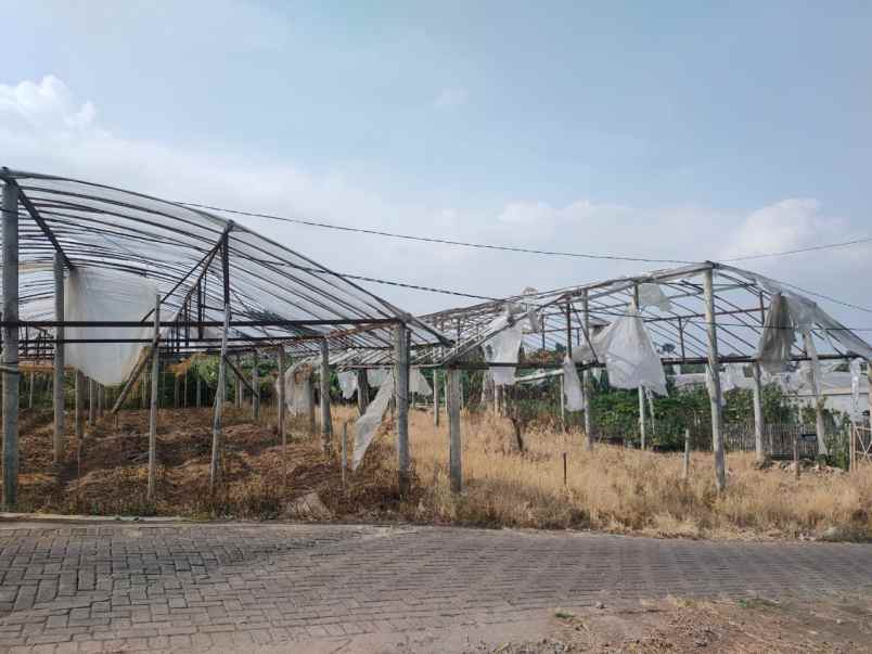 tanah luas dan murah akses mobil di sidomulyo batu