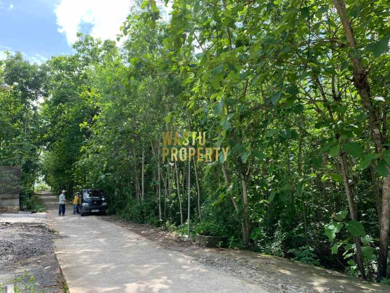 tanah luas murah hanya 5 menit dari puskesmas pajangan