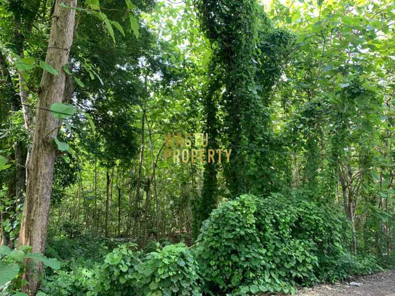 tanah luas murah hanya 5 menit dari puskesmas pajangan