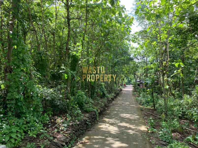 tanah luas murah hanya 5 menit dari puskesmas pajangan