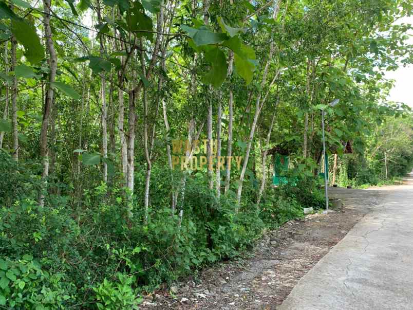 tanah luas murah hanya 5 menit dari puskesmas pajangan