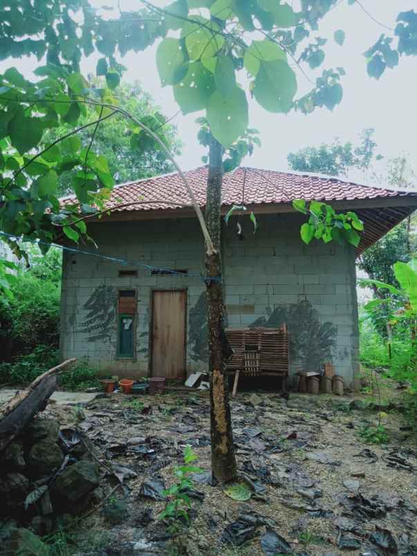 tanah luas super murah