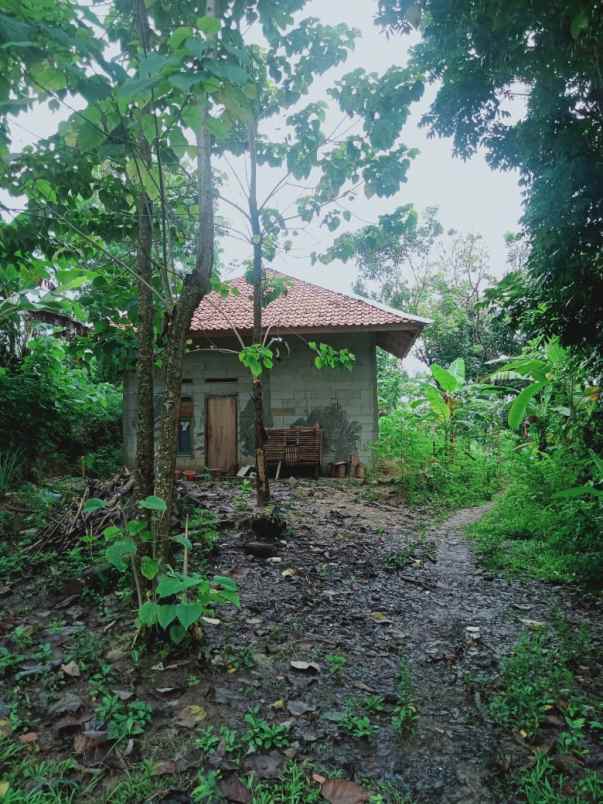 tanah luas super murah