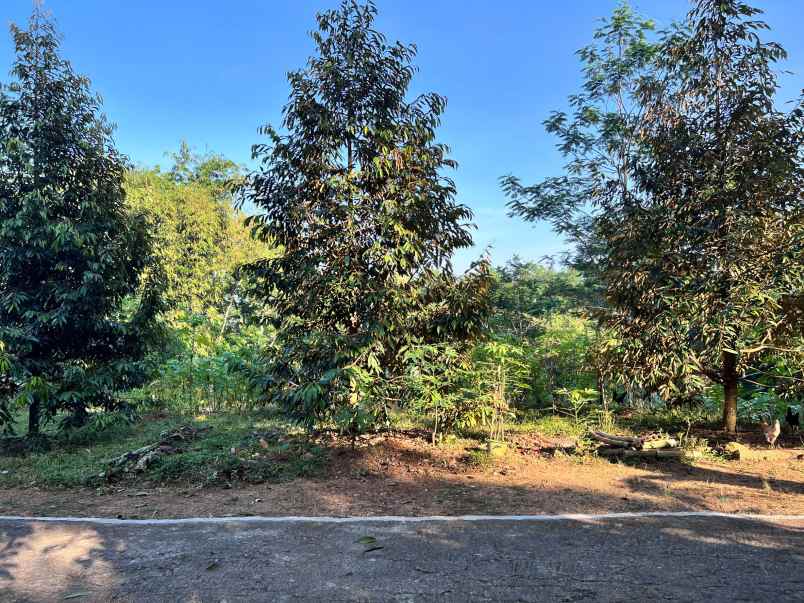 tanah mojogedang karanganyar