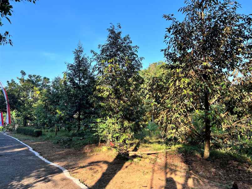 tanah mojogedang karanganyar