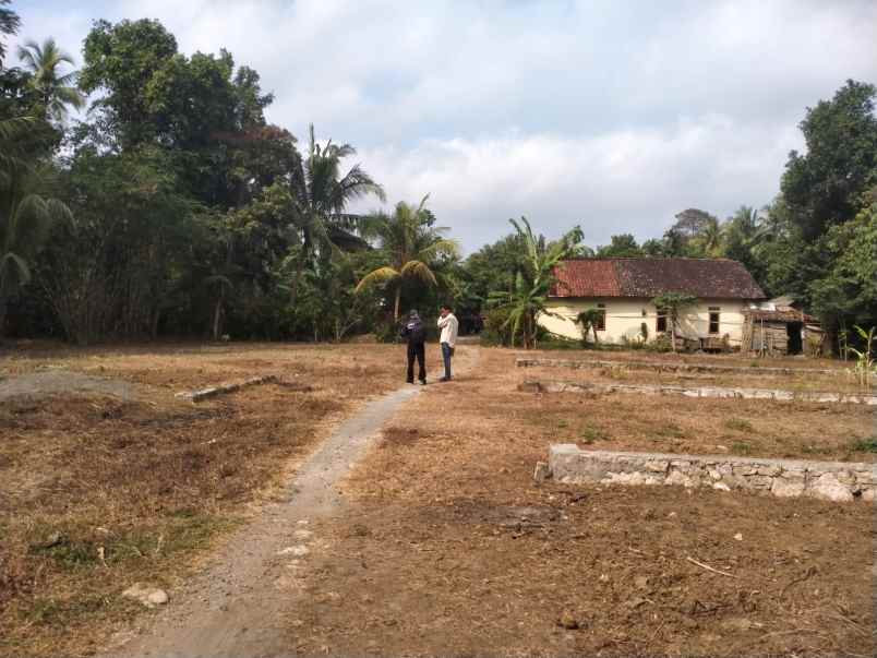 tanah murah jogja 1 jutaan