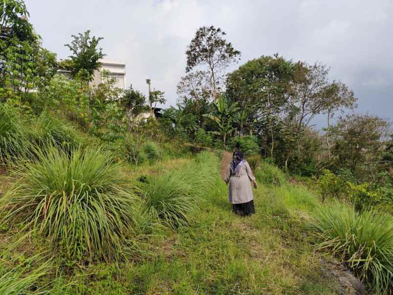 tanah murah untuk perkebunan di temas batu