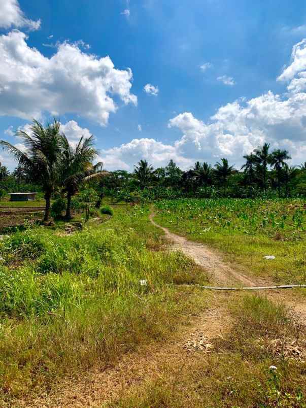 tanah pabelan kabupaten semarang