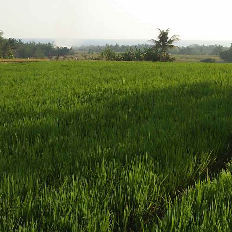 tanah pantai bebali selemadeg