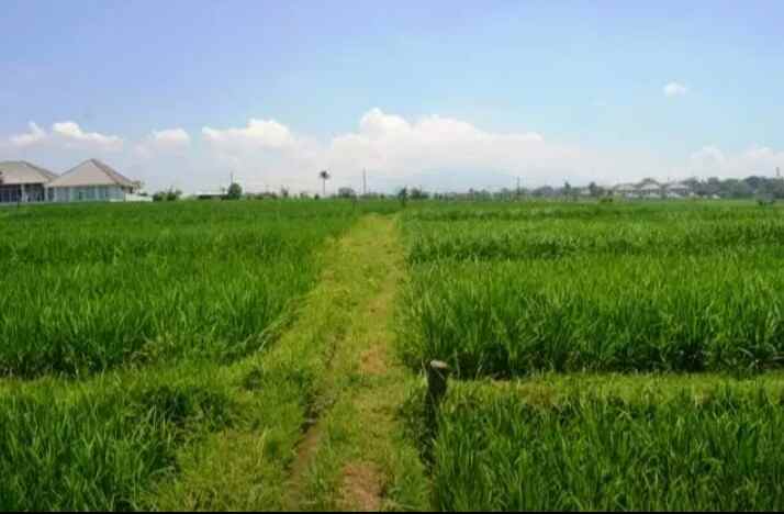 tanah pantai klecung