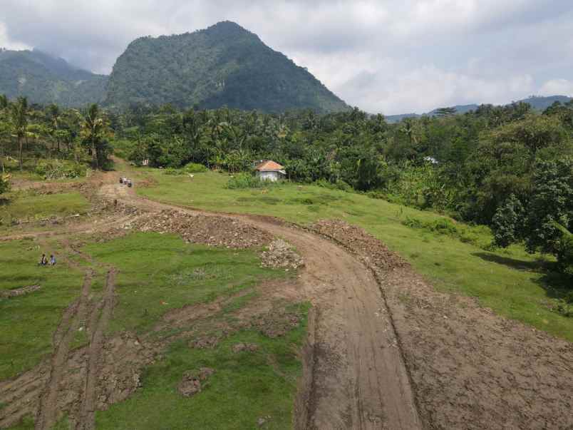 tanah sukamulya sukamakmur kab