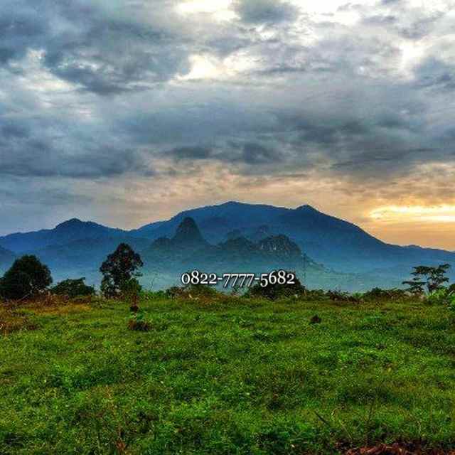 tanah tanjungrasa bogor timur