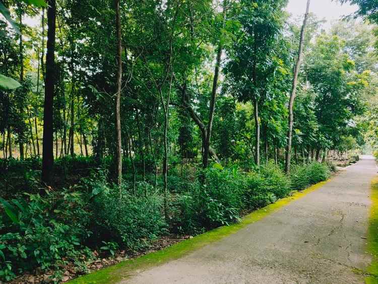 tanah tasikmadu karanganyar telp