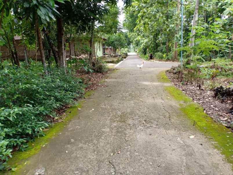 tanah tasikmadu karanganyar telp