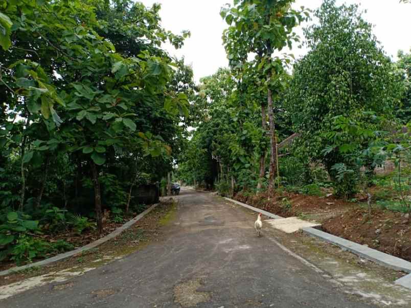 tanah tasikmadu karanganyar telp