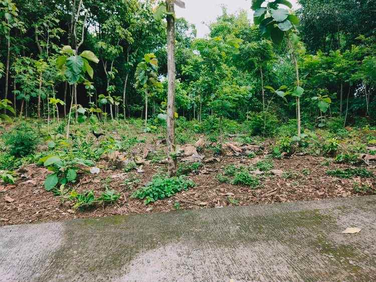 tanah tasikmadu karanganyar telp