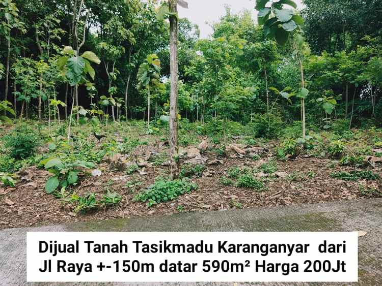 tanah tasikmadu karanganyar telp