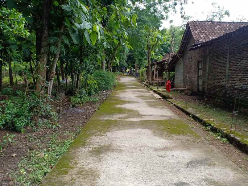 tanah tasikmadu karanganyar telp