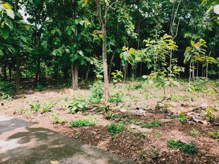 tanah tasikmadu karanganyar telp