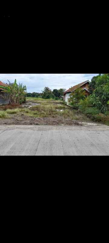 tanah tengahtani cirebon jabar