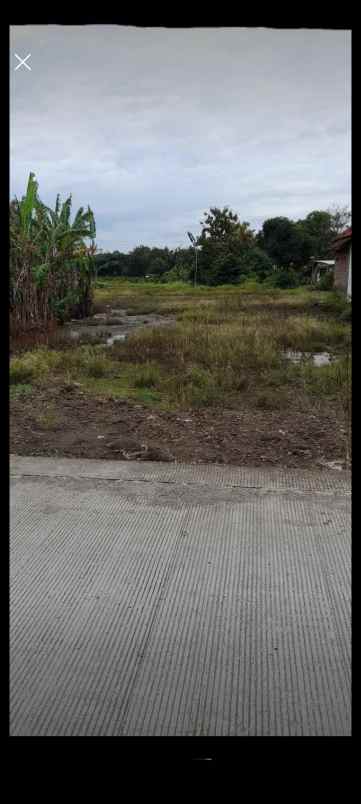 tanah tengahtani cirebon jabar