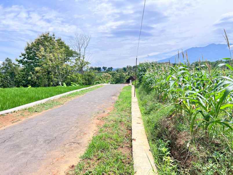 tanah view gunung lawu 8000m kerjo karanganyar utara