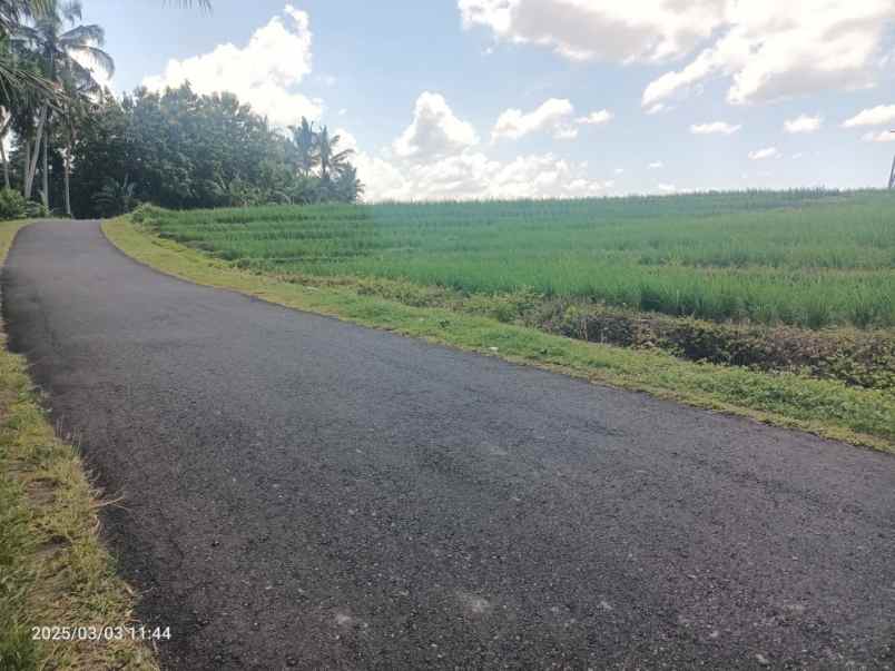 tanah view sawah hanya 6 menit dari ubud center bali