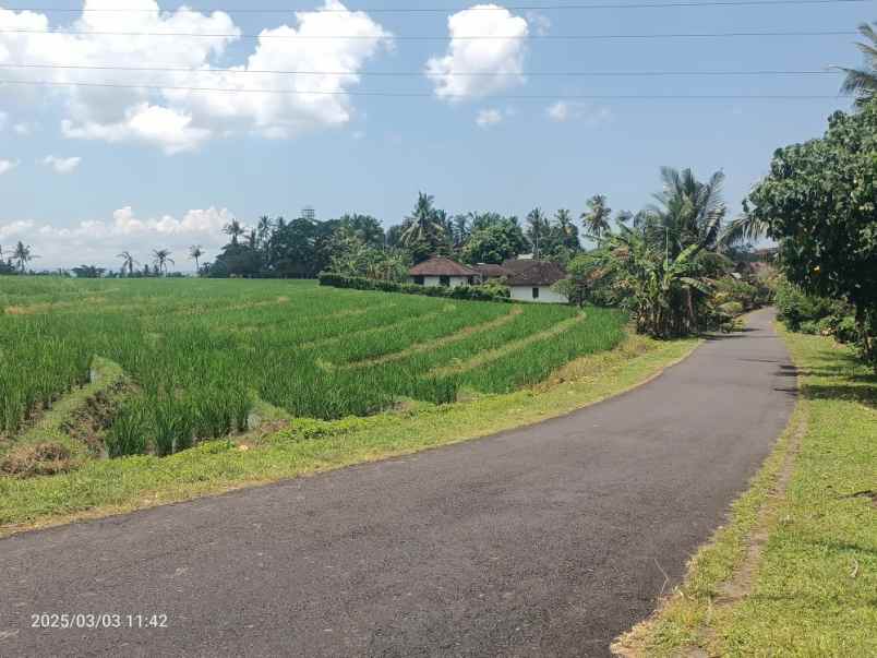 tanah view sawah hanya 6 menit dari ubud center bali