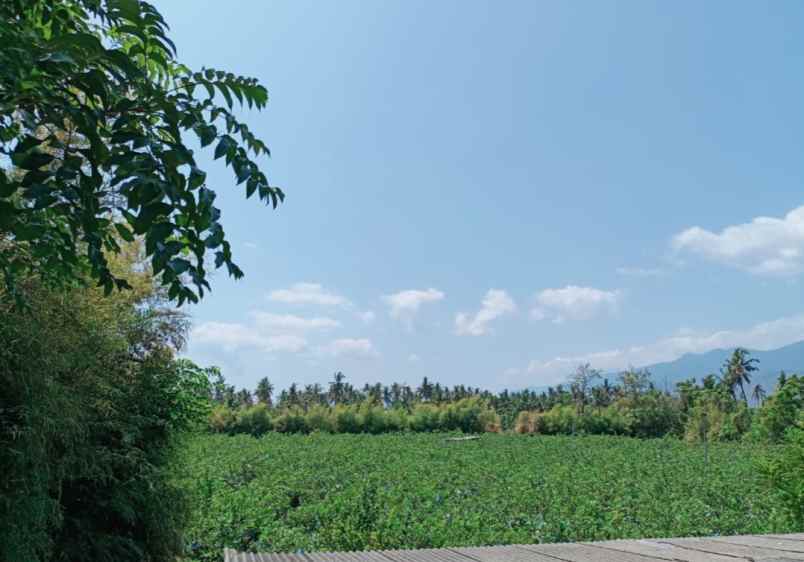 tanah zona kawasan industri di gerokgak buleleng bali