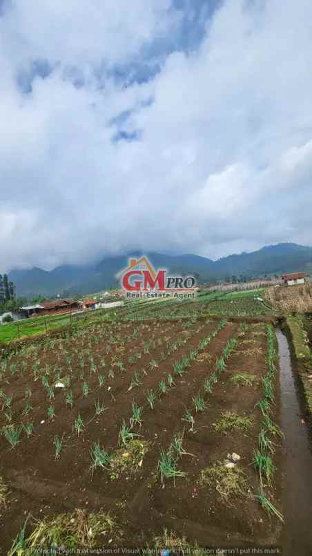 749 tanah matang dengan udara sejuk di ciwidey bandung