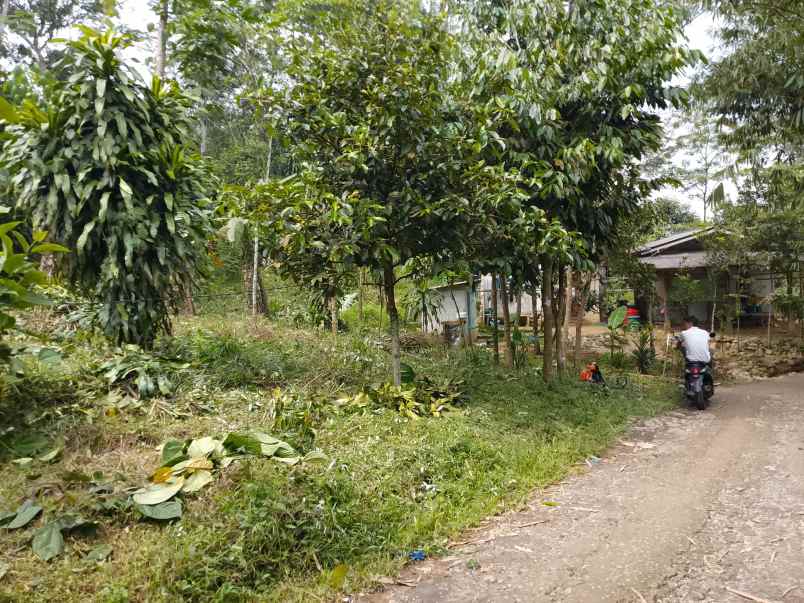 dijual cepat tanah murah