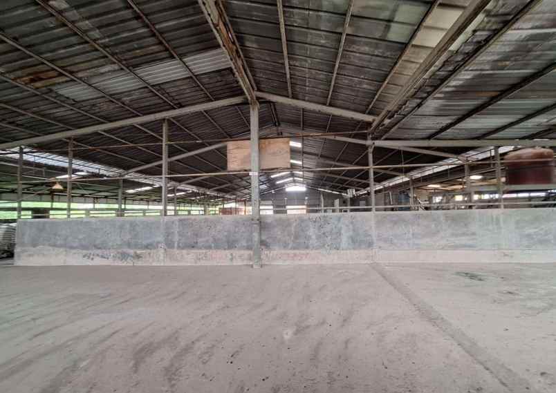 dijual gudang di parung panjang bogor