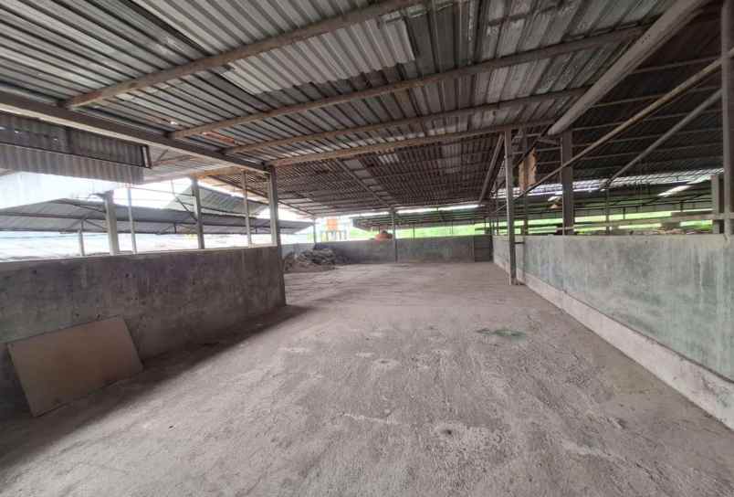dijual gudang di parung panjang bogor