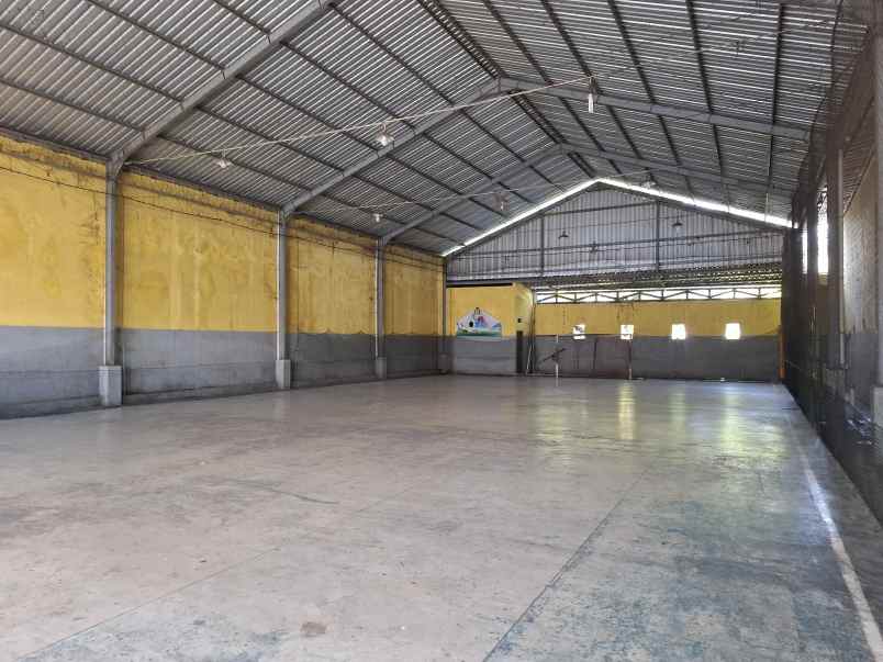 dijual lapangan futsal di sempusari jember